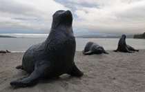 на канадских побережьях появились скульптуры животных из мусора